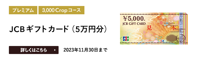 JCBギフトカード（5万円分）をプレゼント