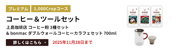 コーヒー&ツールセット（上島珈琲店 コーヒー粉 3種セット & bonmac ダブルウォールコーヒーカラフェセット 700ml）をプレゼント